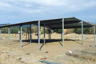 Horse standing beneath three-sided pasture shelter for shade in open paddock
